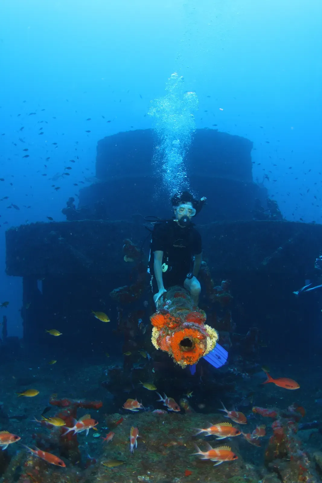 Diver kneeling on the wreck's superstructure near a soft coral cluster — Corveta Ipiranga, Fernando de Noronha