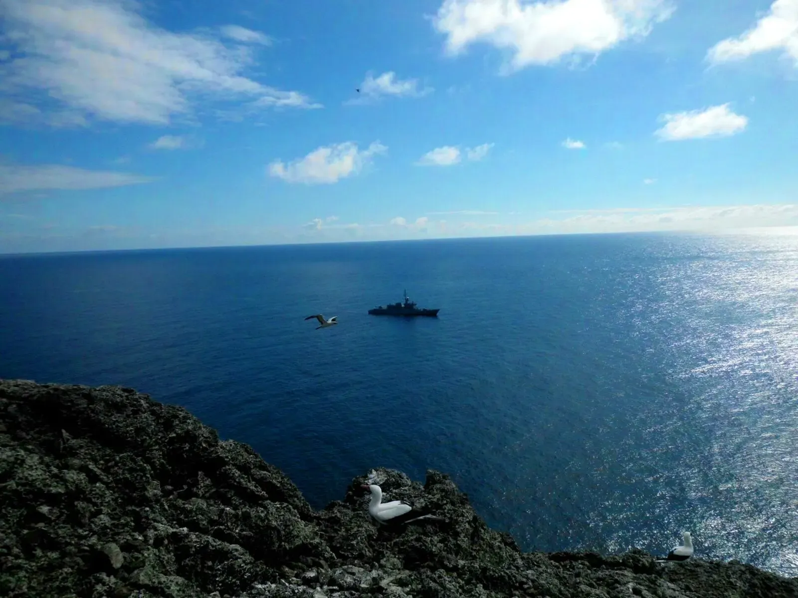 Rocky cliff top with two Nazca boobies, a naval vessel anchored offshore and open ocean to the horizon — Malpelo