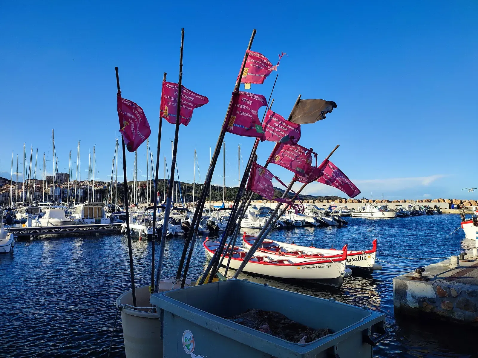 Red flags of professional fishermen partnering the marine reserve, flying over Banyuls harbour.
