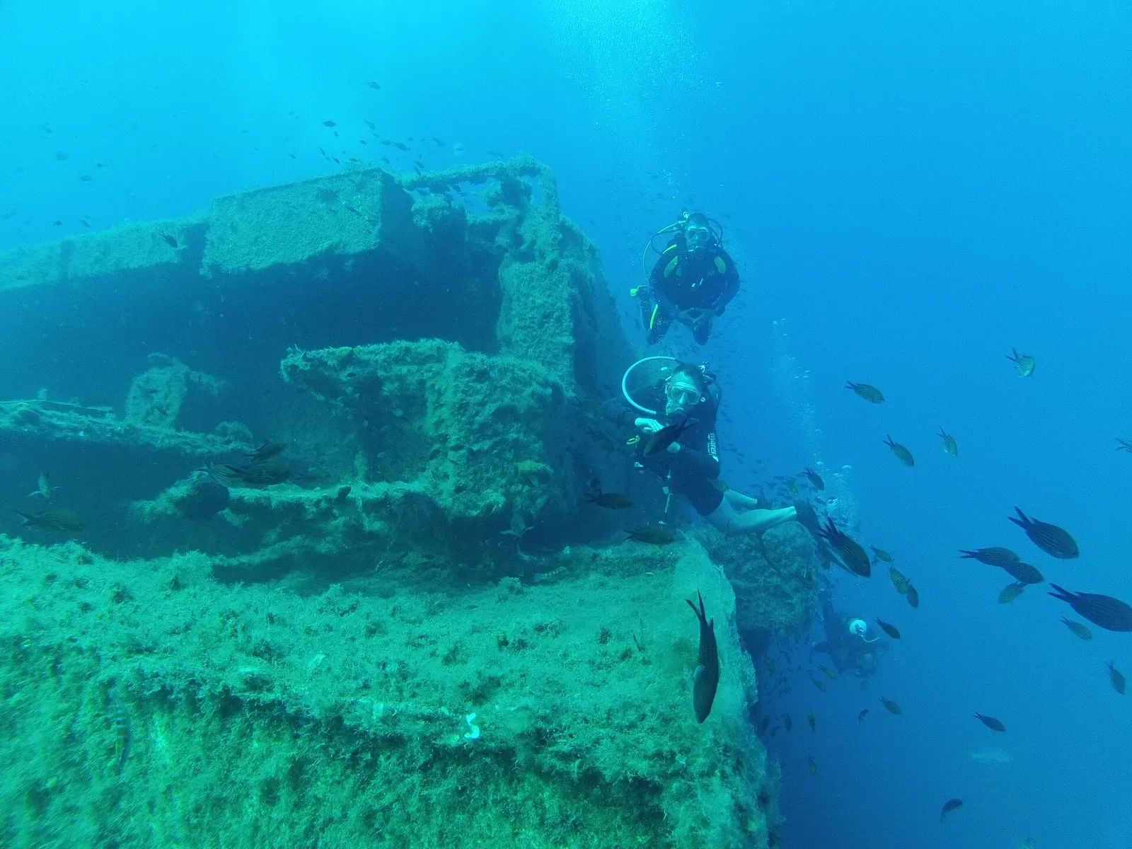 Divers swimming past encrusted superstructure and cargo on the Zenobia wreck