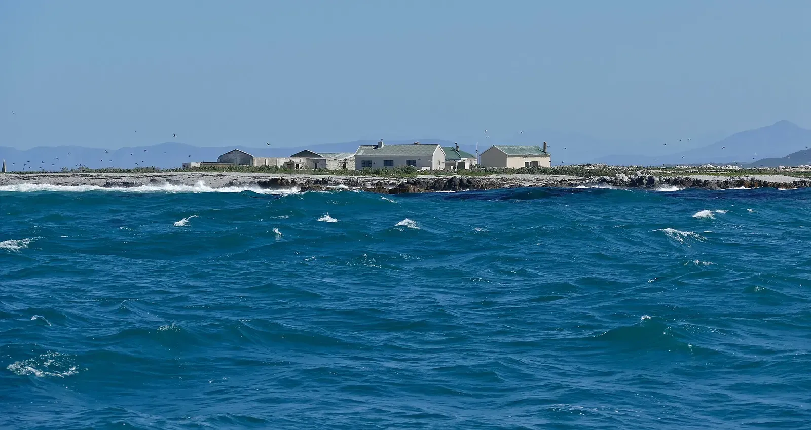 Low buildings on rocky Dyer Island seen from choppy blue water, seabirds circling above