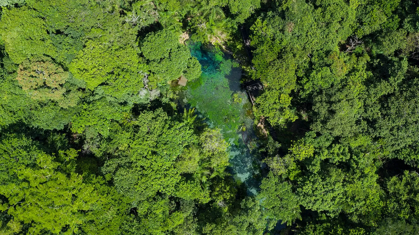 Aerial view of forest canopy opening onto the turquoise pool of Nascente Azul — Bonito