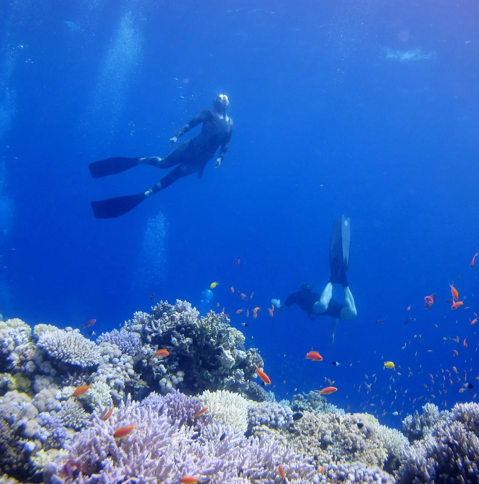 Two freedivers descending through open blue water above the reef at the Blue Hole — Dahab