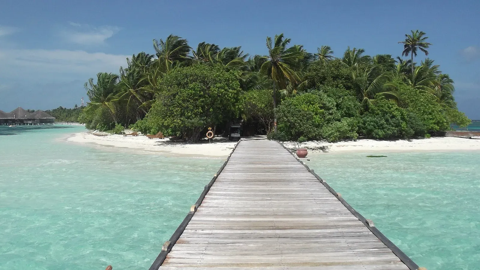 Wooden jetty lined with palm trees leading out to Medhufushi Island Resort's beach