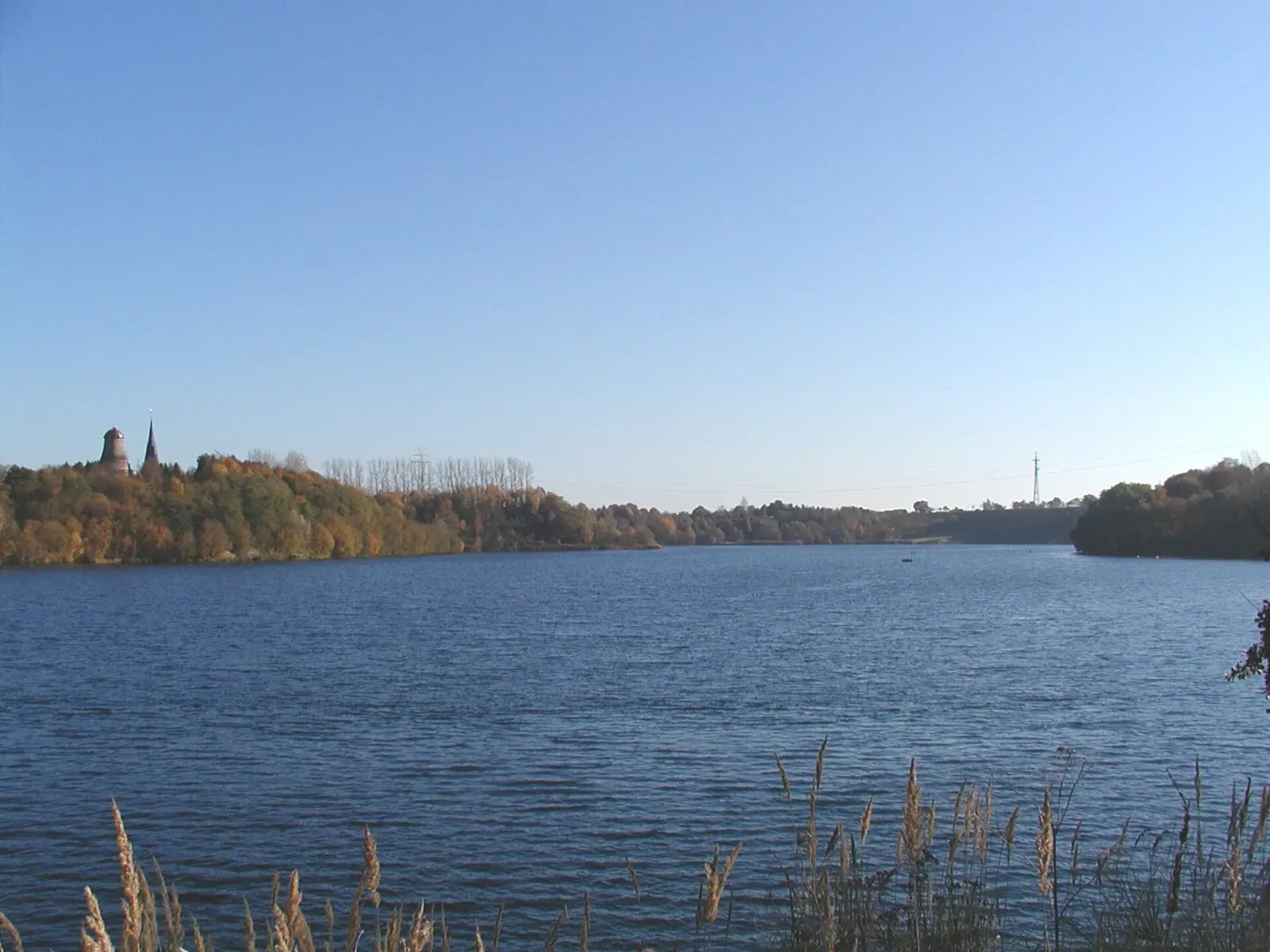 Open water of the Kreidesee seen across reeds from the bank