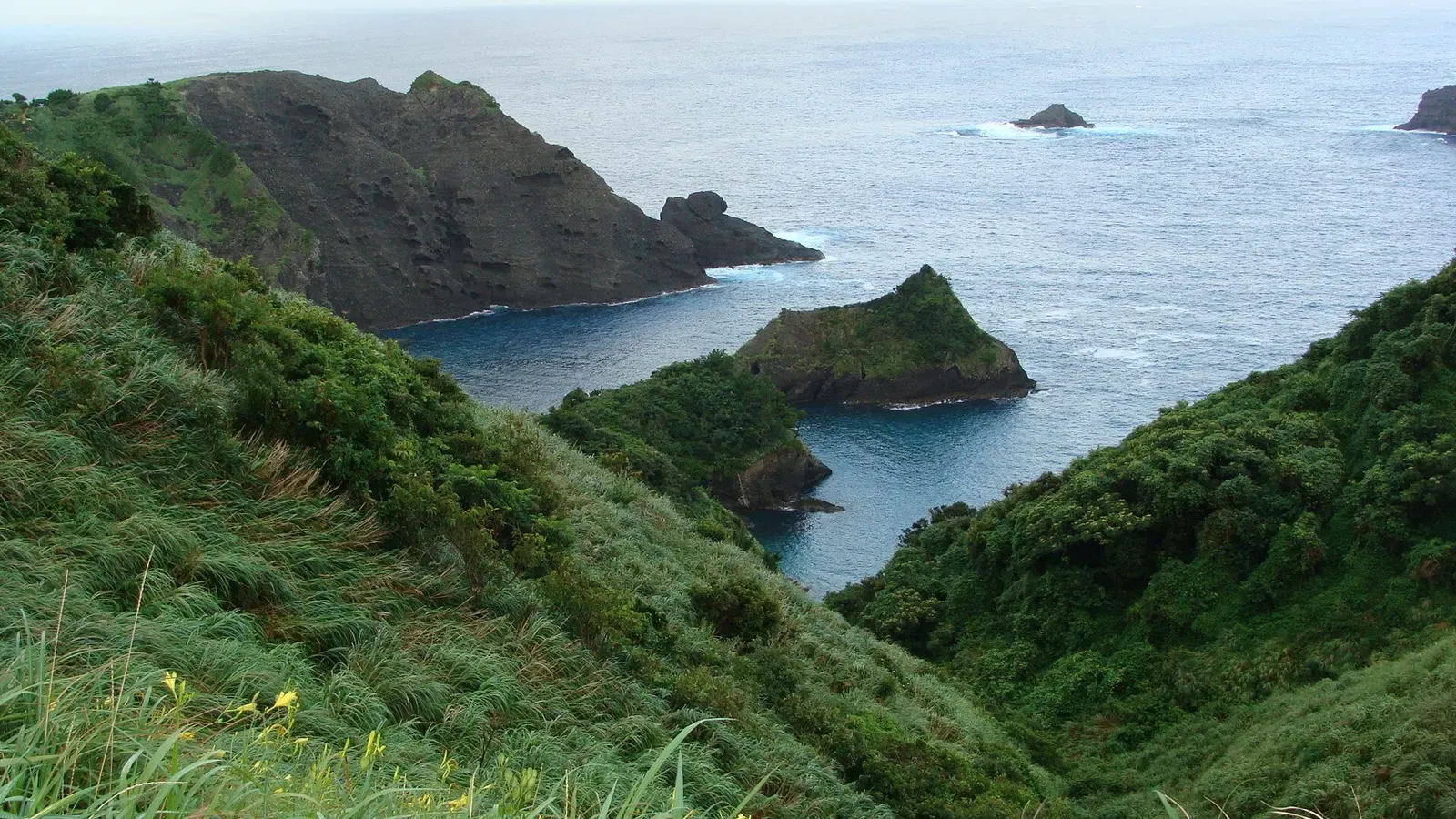 Aerial view over Hirizo Beach's rocky cove and pine-covered headlands in Minami-Izu — Mikomoto