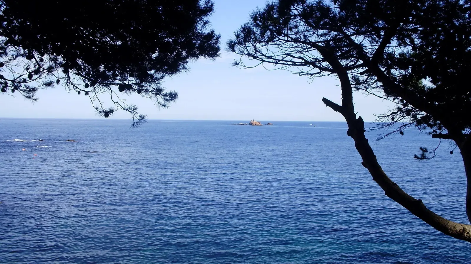 The Illes Formigues islets seen from the coastal path, framed by pines