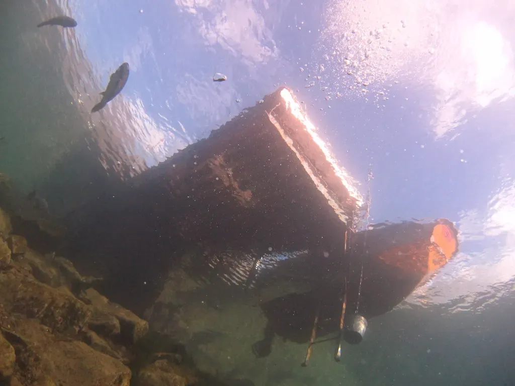 Looking up from the rocky shallows at the dark underside of a floating structure against bright surface light, with two fish above — Capernwray (Jackdaw Quarry), Capernwray & the Lake District