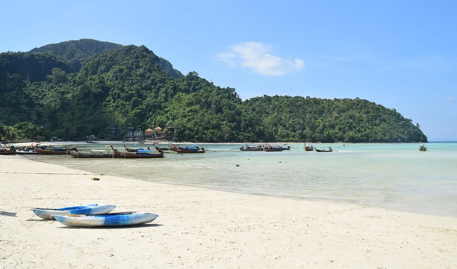 Longtail boats moored off Loh Dalum beach beneath jungle-covered limestone hills — Koh Phi Phi