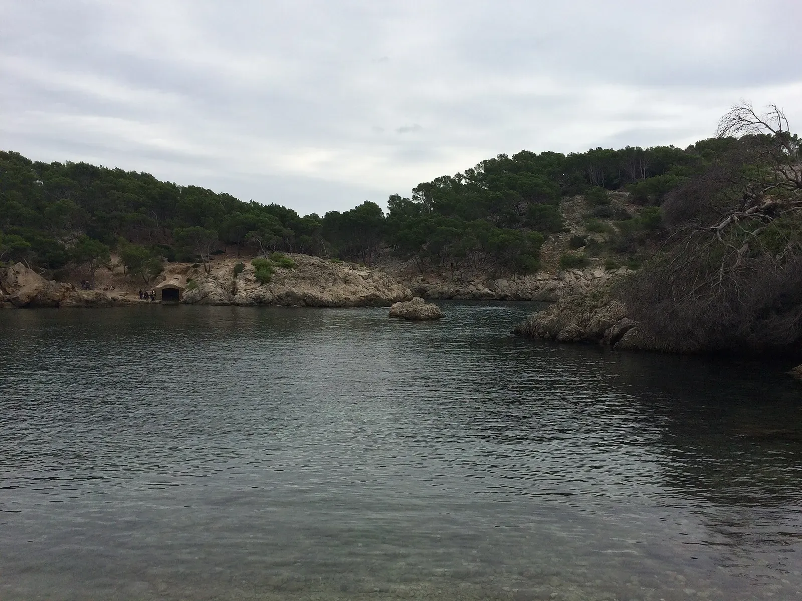 Wide view over the Caló des Monjo headland with pine trees and the cove dropping to turquoise water