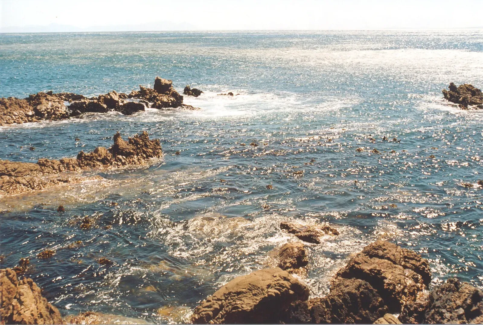 Sunlit sea with kelp and rocky outcrops seen from the entry point of a coastal gully — Percy's Hole, Gordon's Bay & Rooi-Els