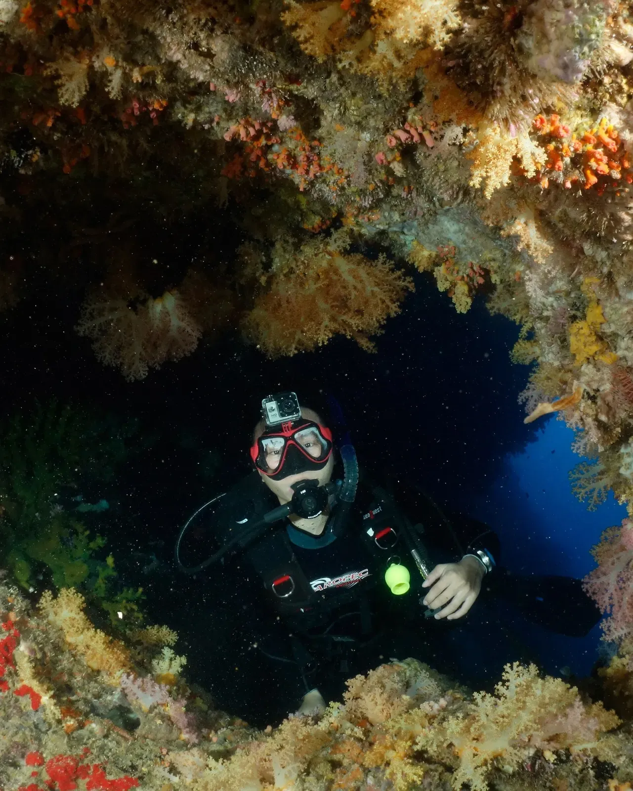 A diver's torchlight picks out soft coral inside the Cathedral cave chamber — Pescador Island, Moalboal.