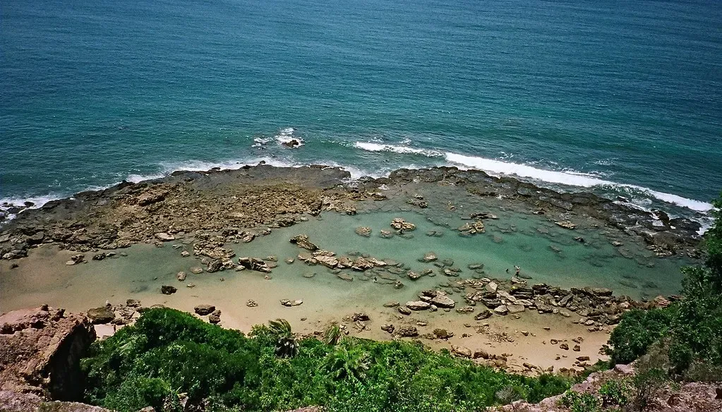 Rocky reef and clear green tide pools seen from a vegetated cliff top, with surf breaking on the outer edge — Morro de São Paulo