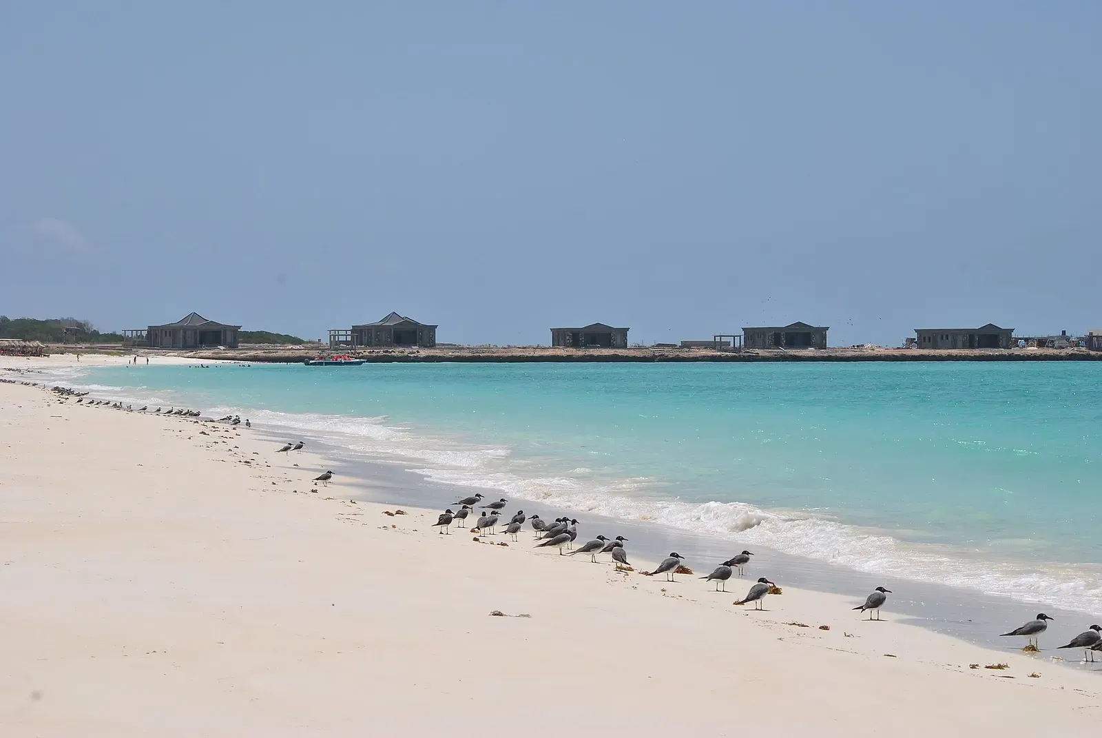 Moucha Island beach with the diver bungalows in the distance beside calm water — Djibouti