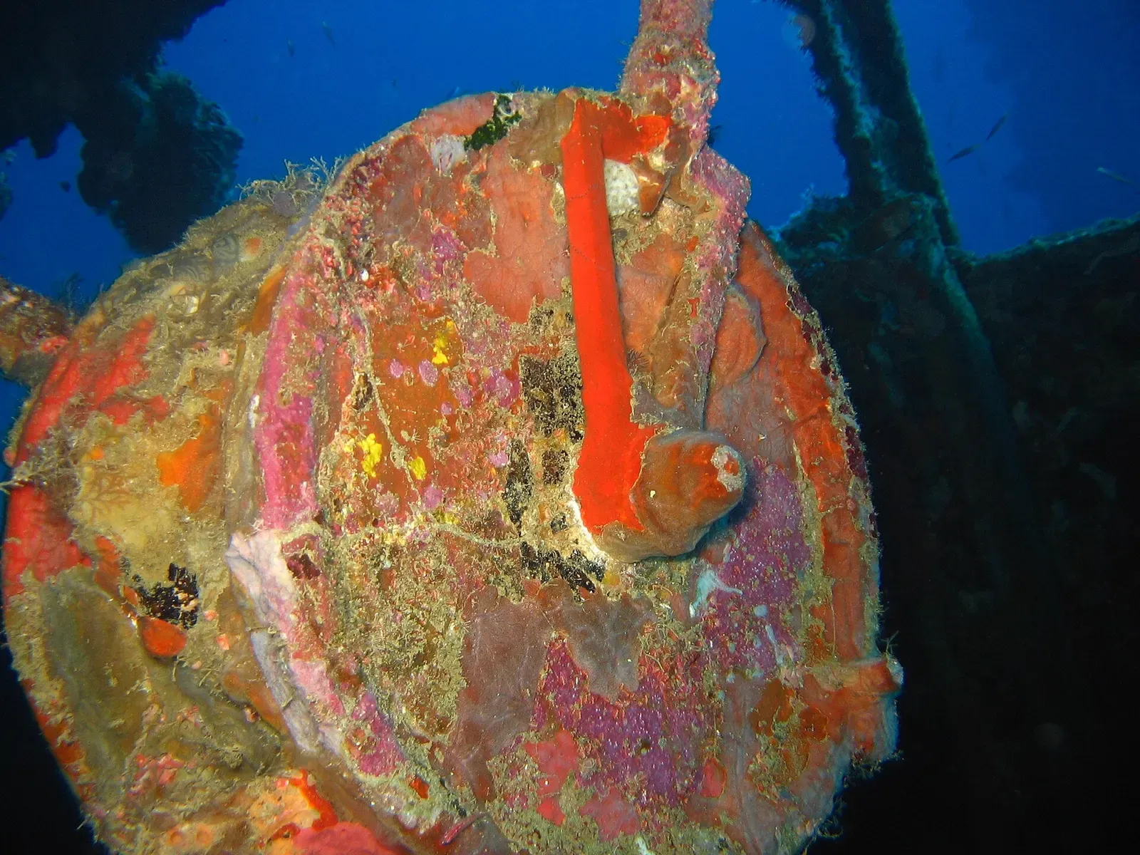 Coral-encrusted engine order telegraph aboard the Nippo Maru — Chuuk Lagoon