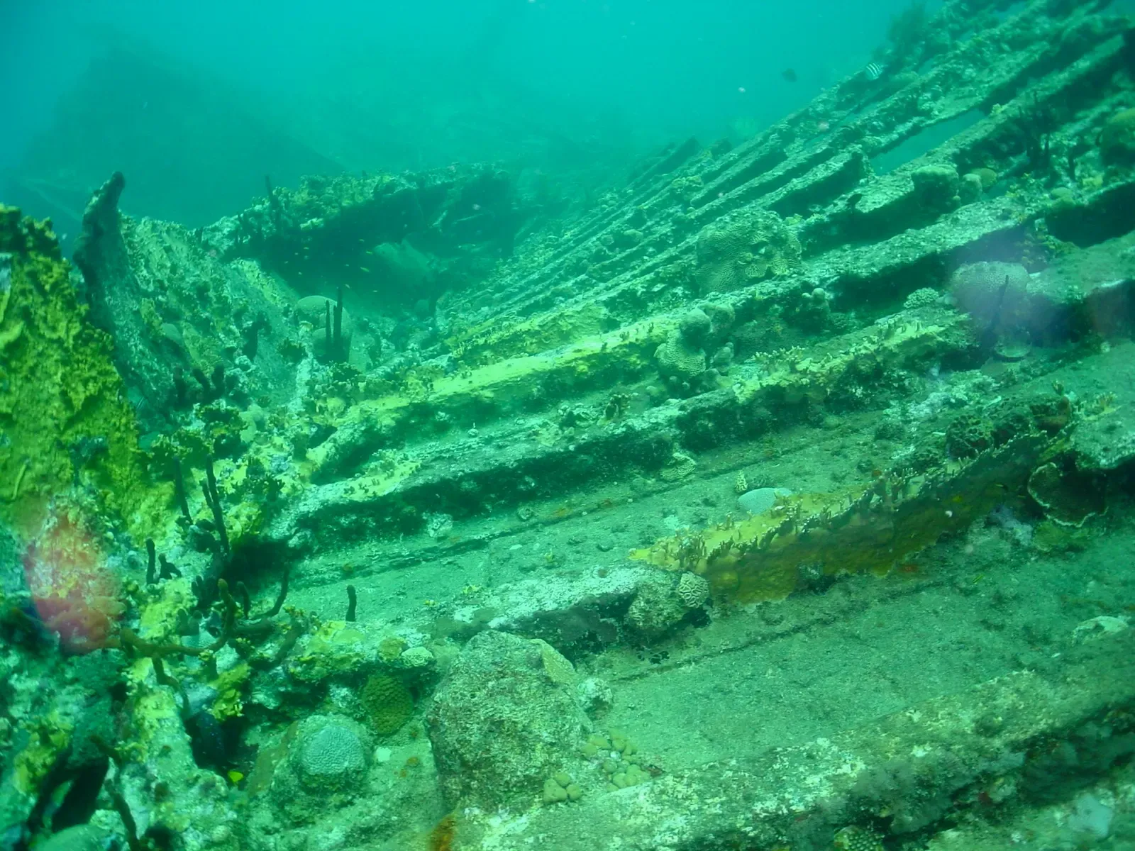 Ribbed hull section of the stern wreck slanting down across the sandy bottom — BVI