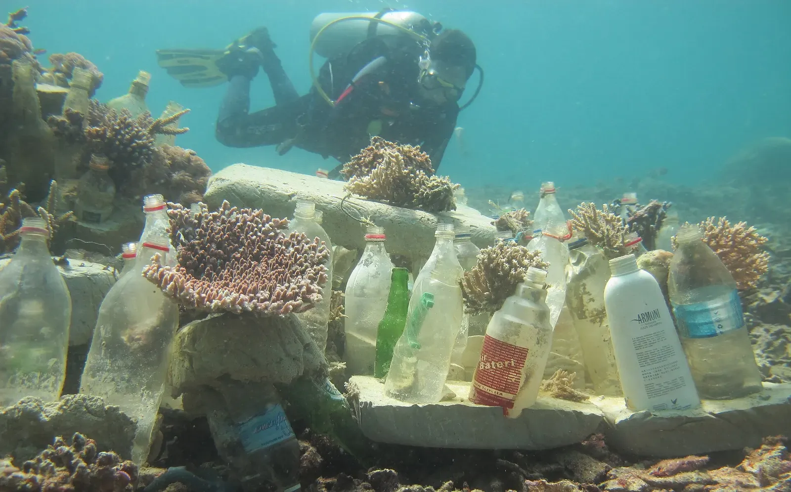 Hard corals grow on rows of plastic and glass bottles set on concrete slabs, with a diver swimming behind — Semporna Islands