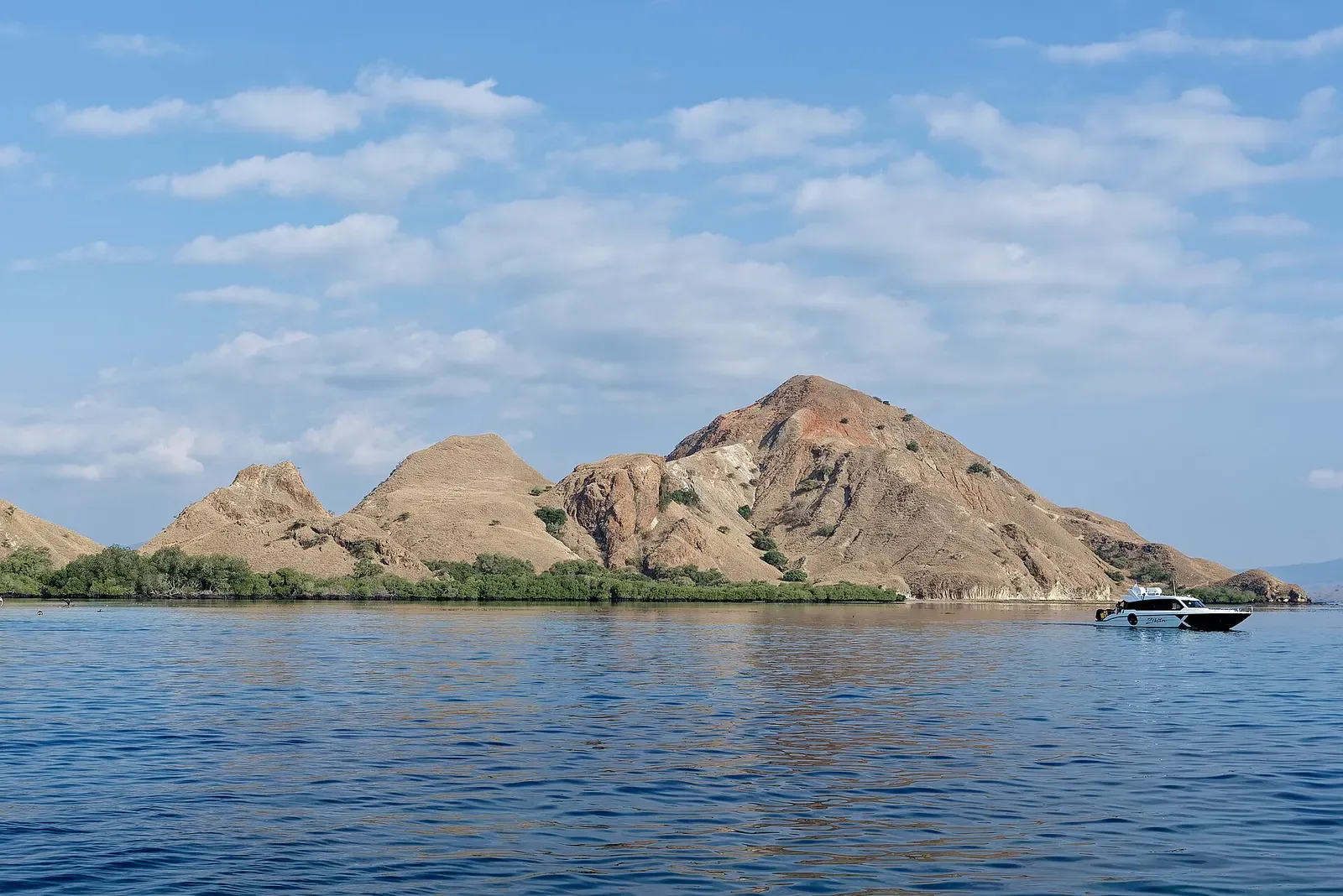A steep, rocky brown island fringed with green trees, seen across calm water with a speedboat offshore — Siaba Besar, Komodo.