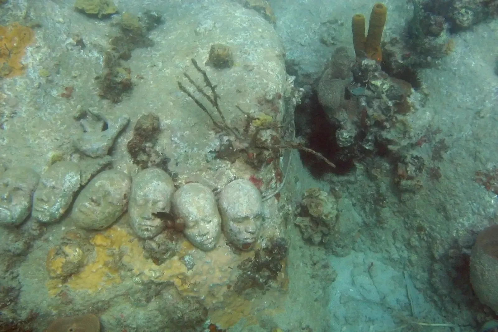 Close-up of several cast concrete faces mounted on a coral-covered rock, one branch of soft coral growing beside them — Underwater Sculpture Park, Grenada
