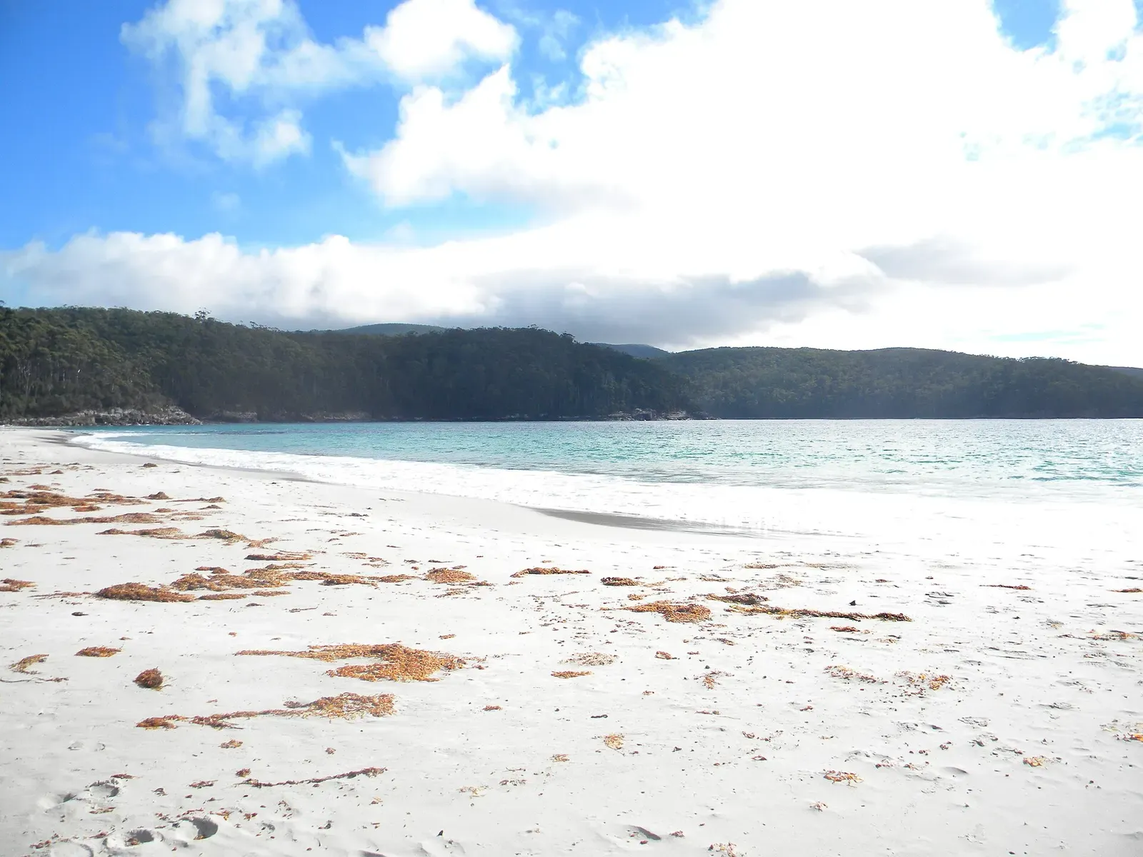 Fortescue Bay beach with turquoise water, white sand and drifts of kelp along the shoreline — Eaglehawk Neck