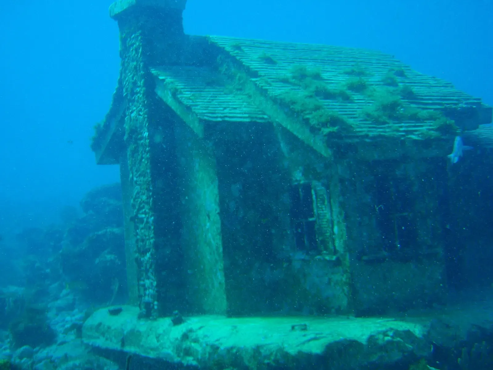 A concrete house sculpture encrusted with coral sits on the seabed at the MUSA underwater museum — Isla Mujeres