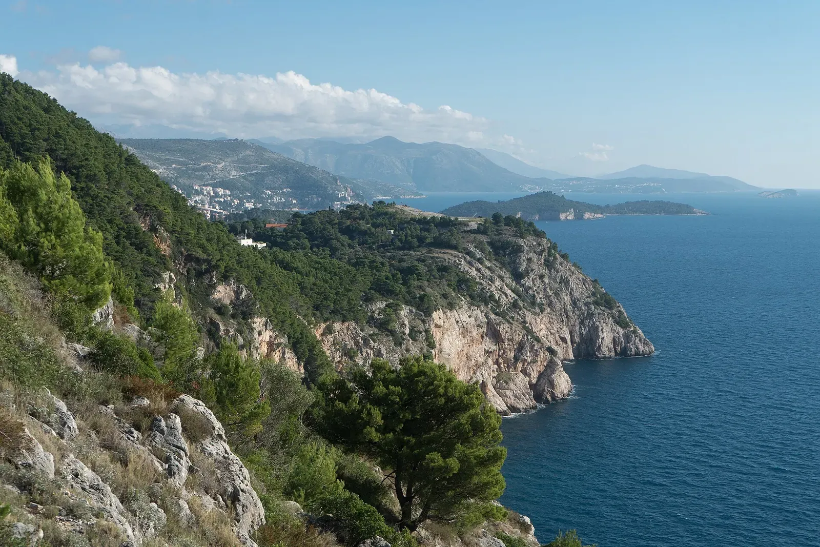 Steep pine-covered limestone cliffs dropping into deep blue water, with a coastline and islands in the distance — Dubrovnik & the Elafiti Islands