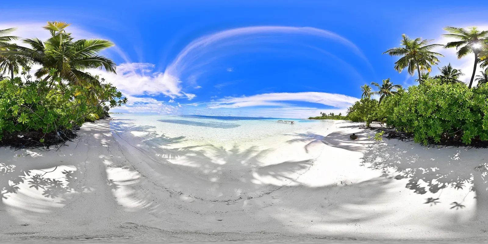 Palm shadows stretching across a white sand beach beside a calm lagoon