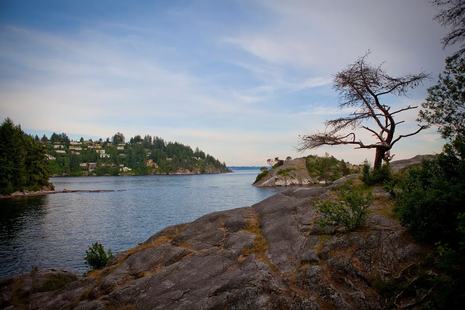 Rocky granite shore with a windswept tree overlooking a calm cove and a wooded islet — Whytecliff Park, Horseshoe Bay & Howe Sound