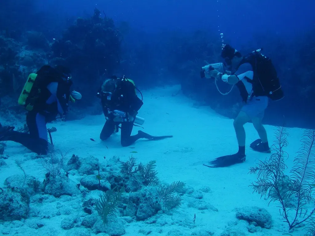 Divers kneel on a sand flat between low coral heads off Little Cayman during the 2007 NOAA Twilight Zone expedition