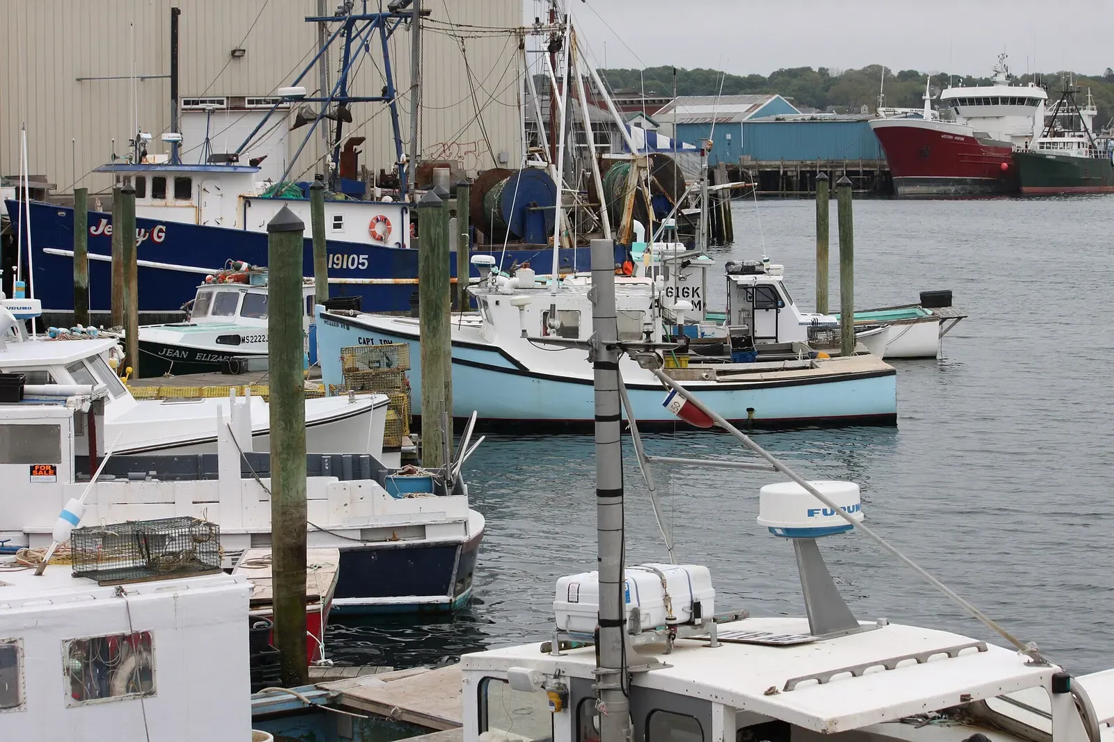 Fishing boats and lobster boats tied up at wooden pilings in a crowded harbour — Cape Ann & Stellwagen Bank