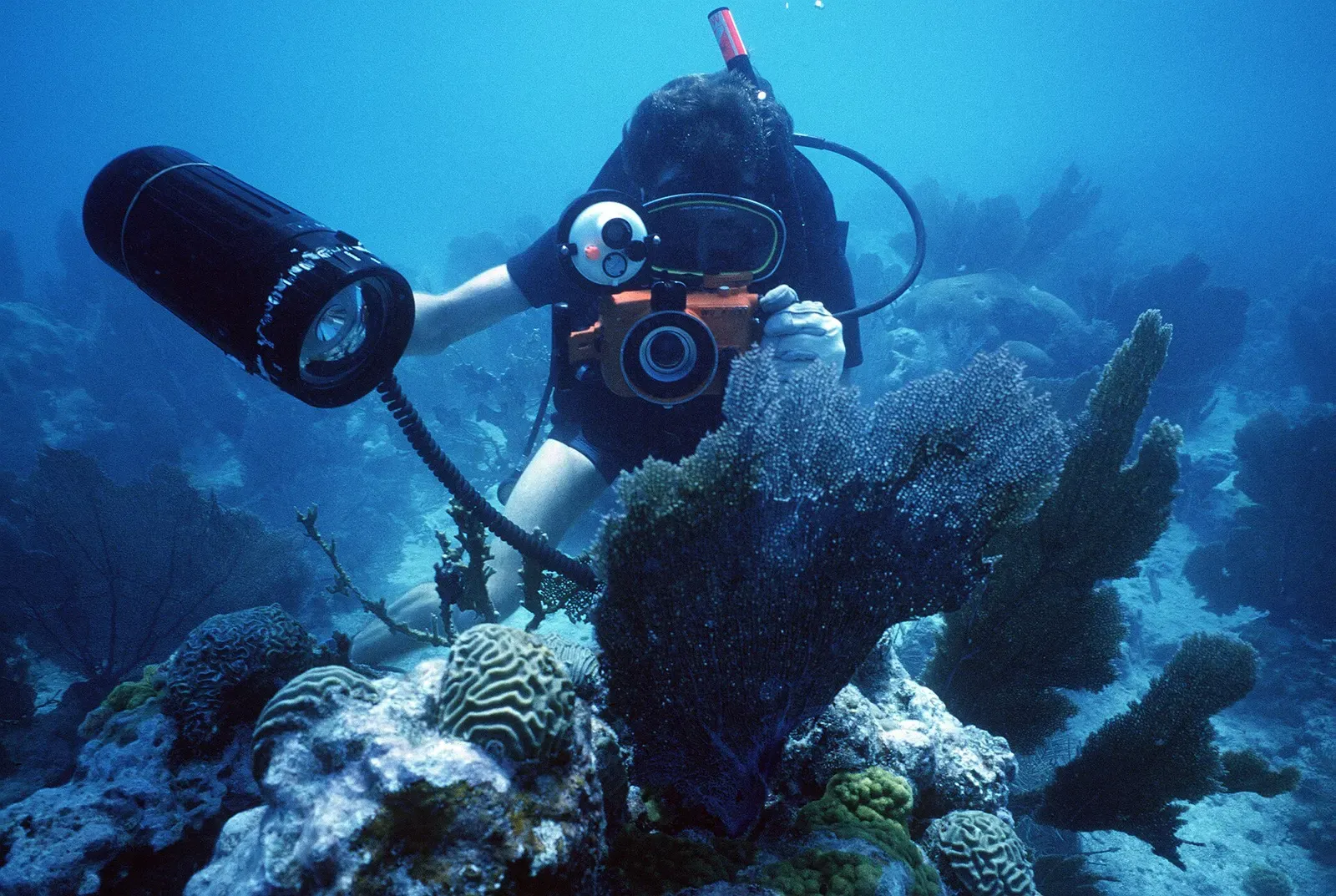 Navy diver photographing marine life on a training dive off Key West, Florida — Florida Keys