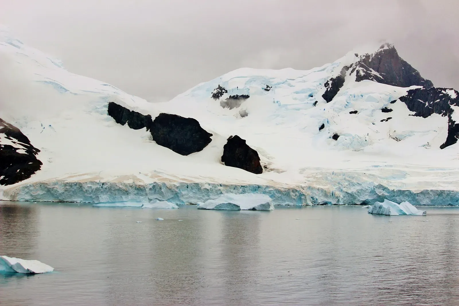 Dark volcanic rock outcrops streak the snowy shoreline above the water at Cuverville Island — Antarctic Peninsula