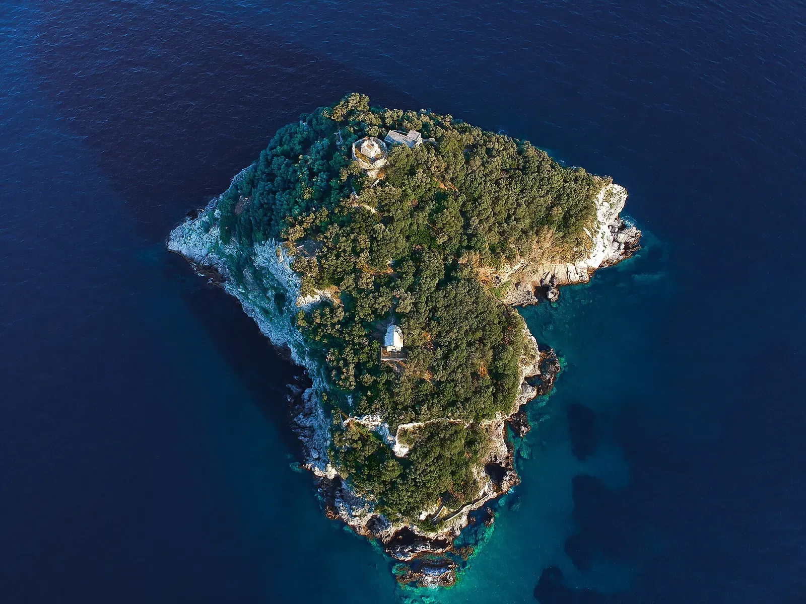 Aerial view of Isola di Bergeggi's wooded twin summits and pale cliffs meeting the sea