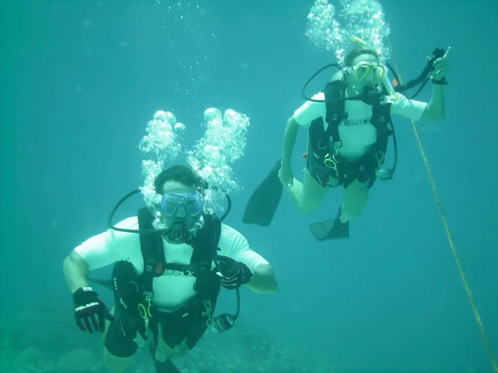 Two divers trailing bubbles ascend along a line in green-blue water — Bimini.