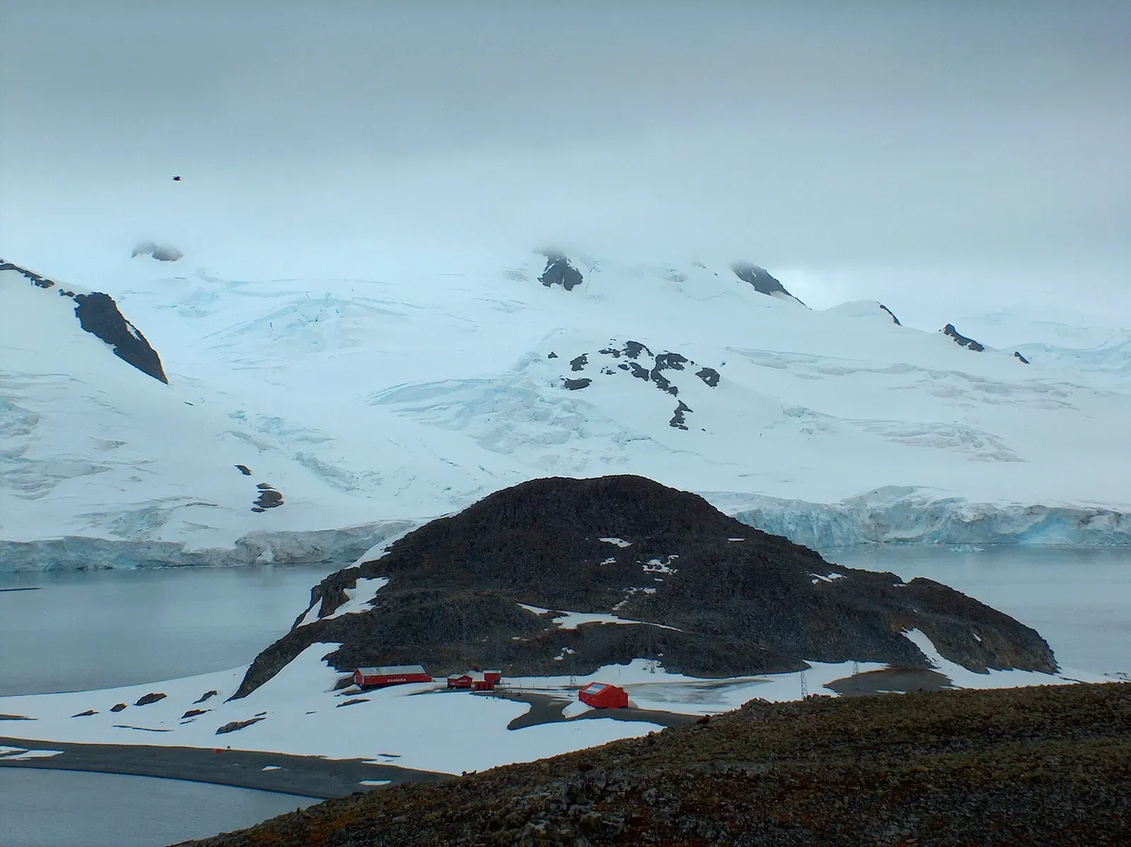 Argentina's red-roofed Cámara Base station on the snowy shore of Half Moon Island — Antarctic Peninsula