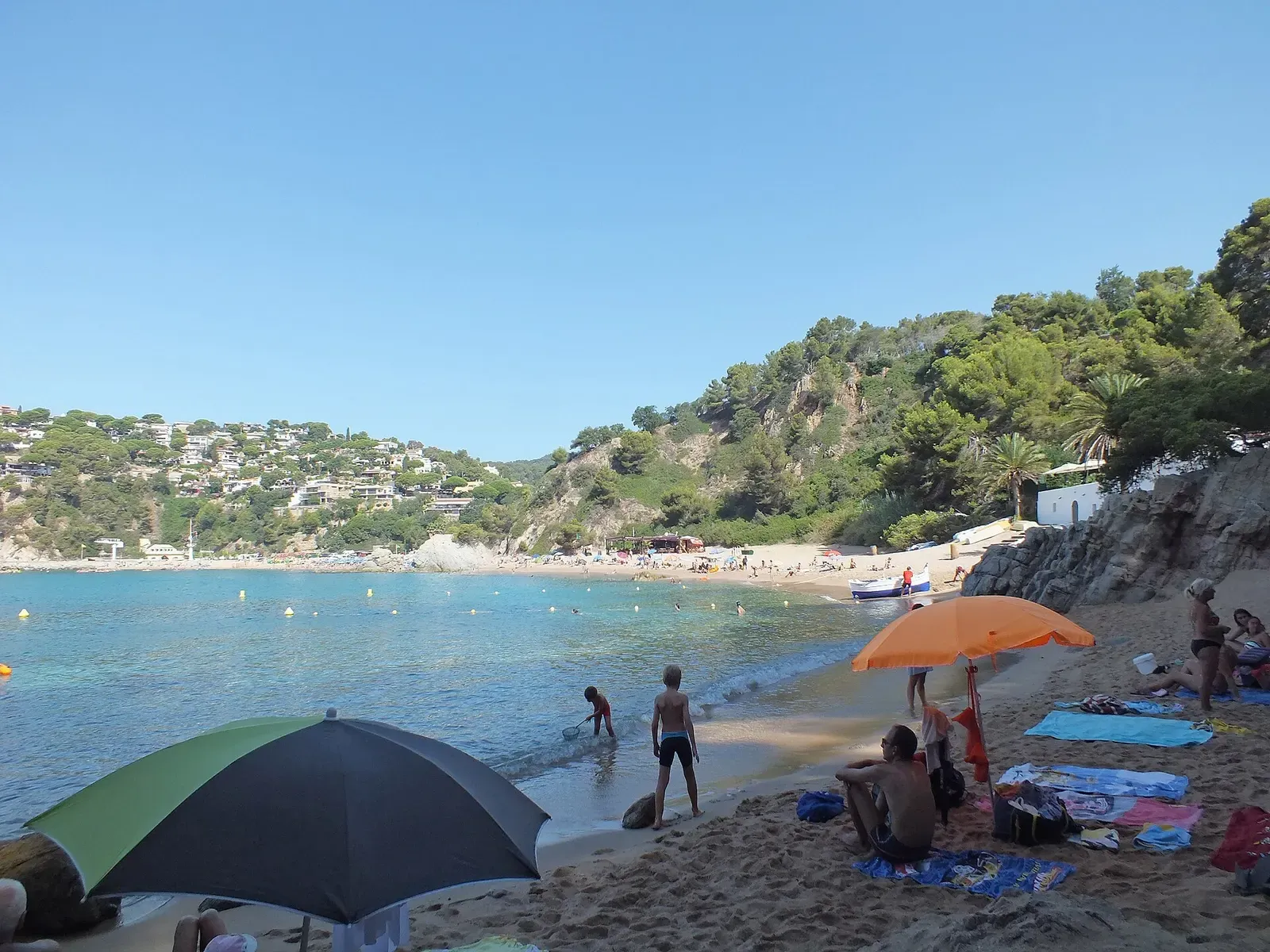 Swimmers and beachgoers on the sand at Cala Canyelles, with the wooded headland behind.