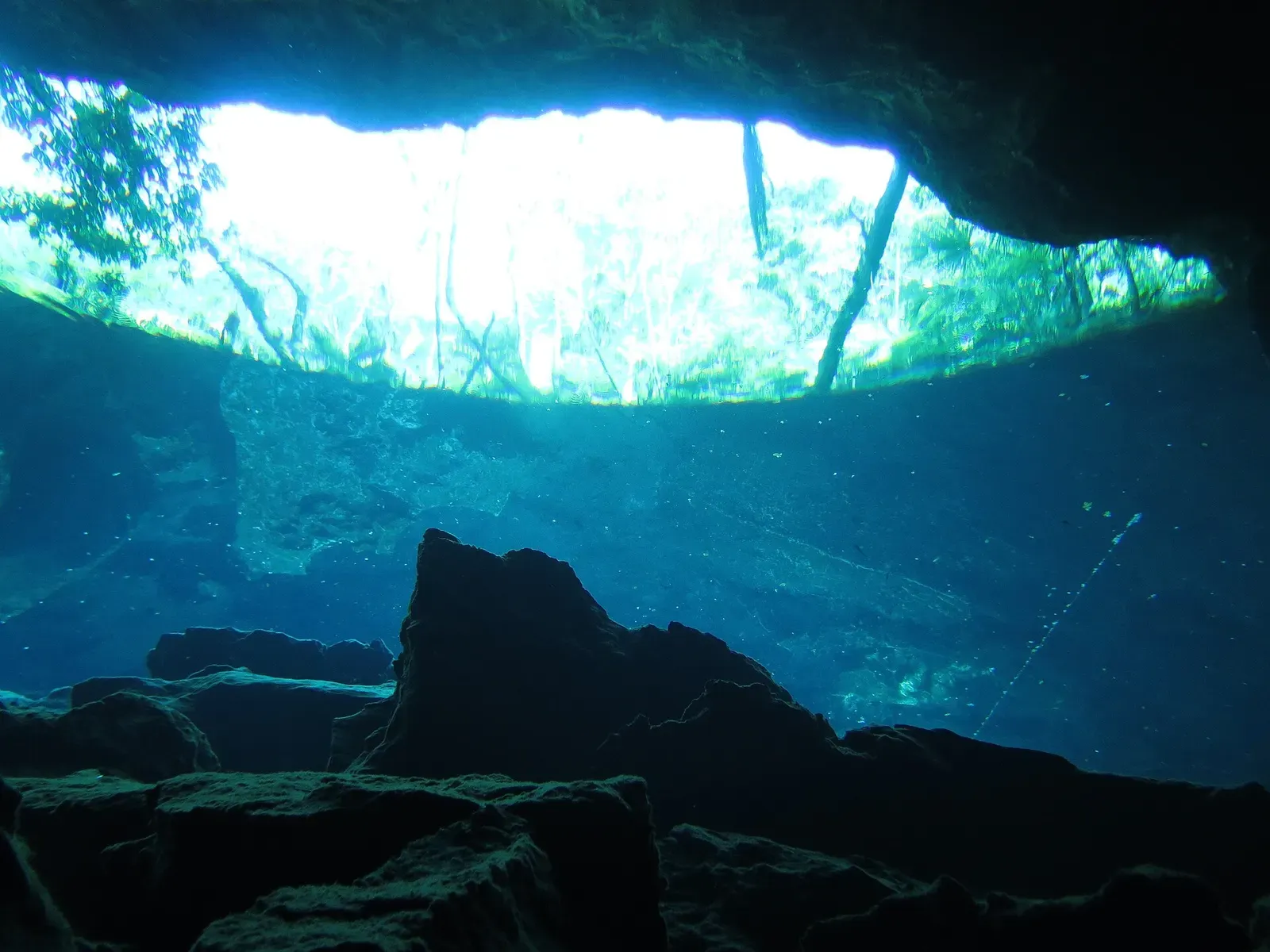 Looking up from underwater at the cenote opening with jungle beyond the surface