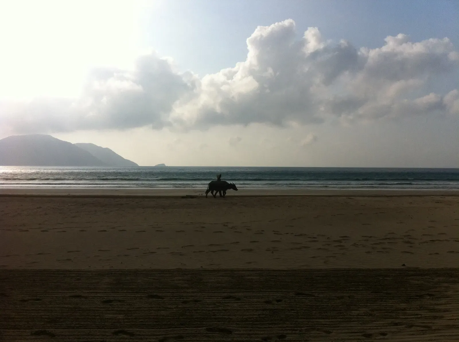 A water buffalo and its handler cross a quiet beach at dusk in the Con Dao archipelago — Côn Đảo.