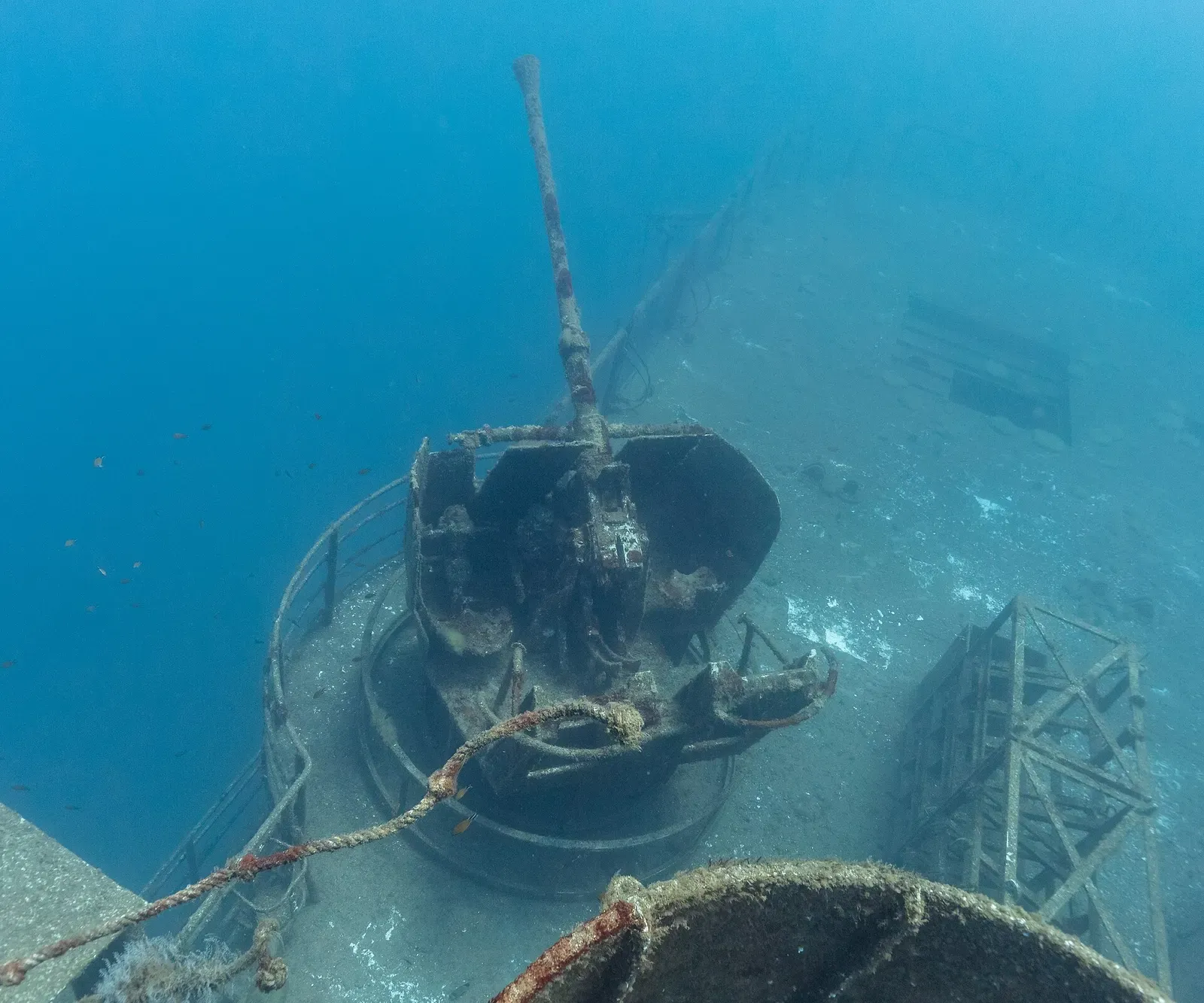 Overhead view of the deck gun turret and surrounding railings encrusted with marine growth — Wreck of the NRP Afonso Cerqueira, Madeira