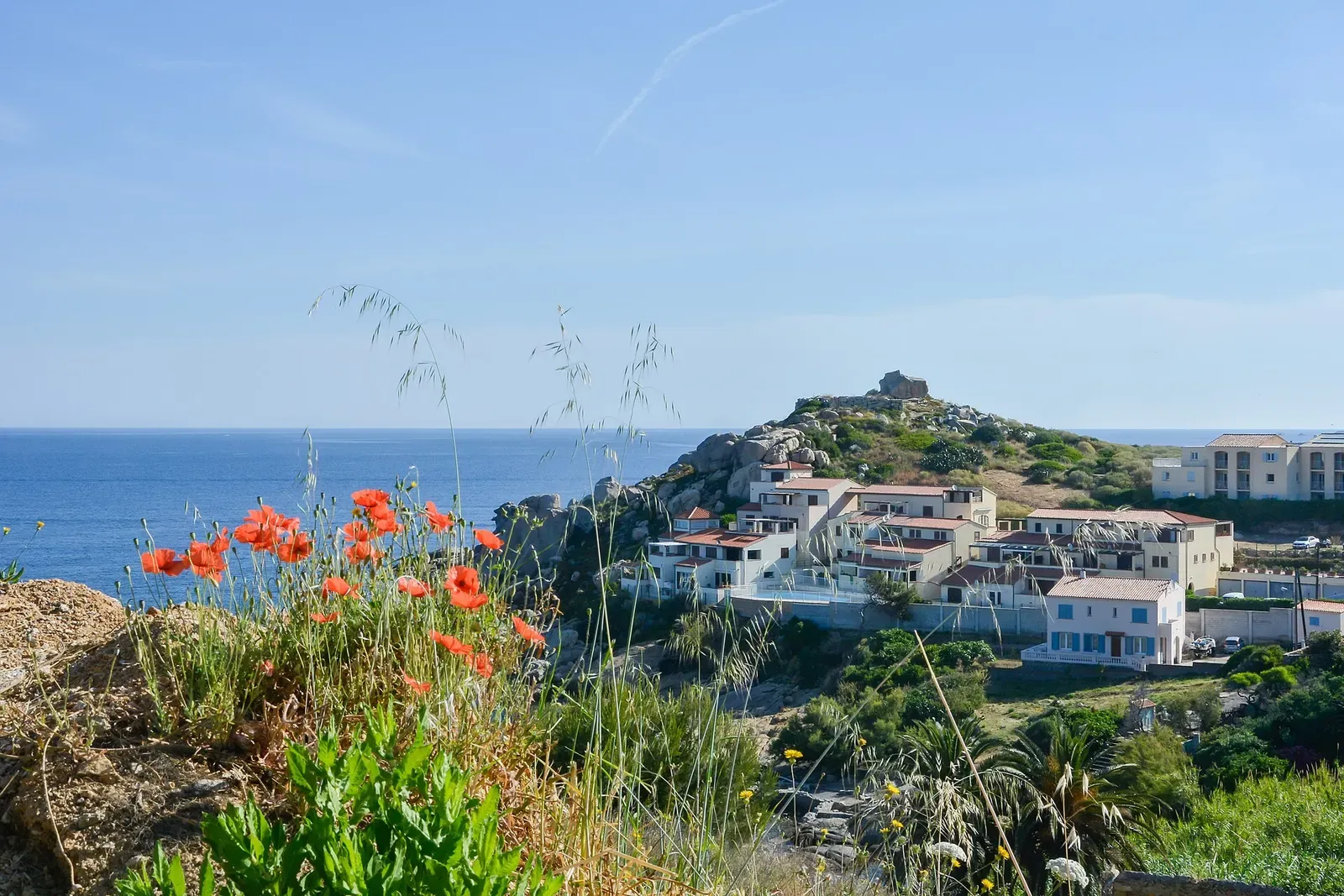 Punta San Francesco headland with wildflowers above Calvi's citadel and harbour town