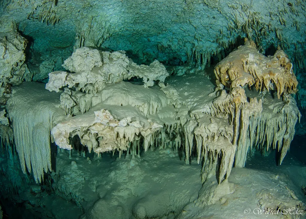 Underwater view of jagged white stalactites hanging from a cave ceiling, reflected in still water — Dos Ojos, Riviera Maya Cenotes.