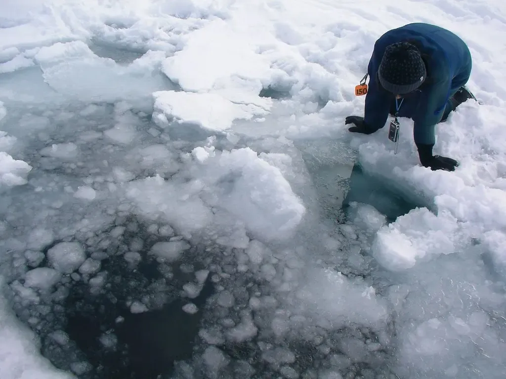A drysuited figure crouches at a hole cut through sea ice, peering into the dark water below — Shiretoko Drift Ice