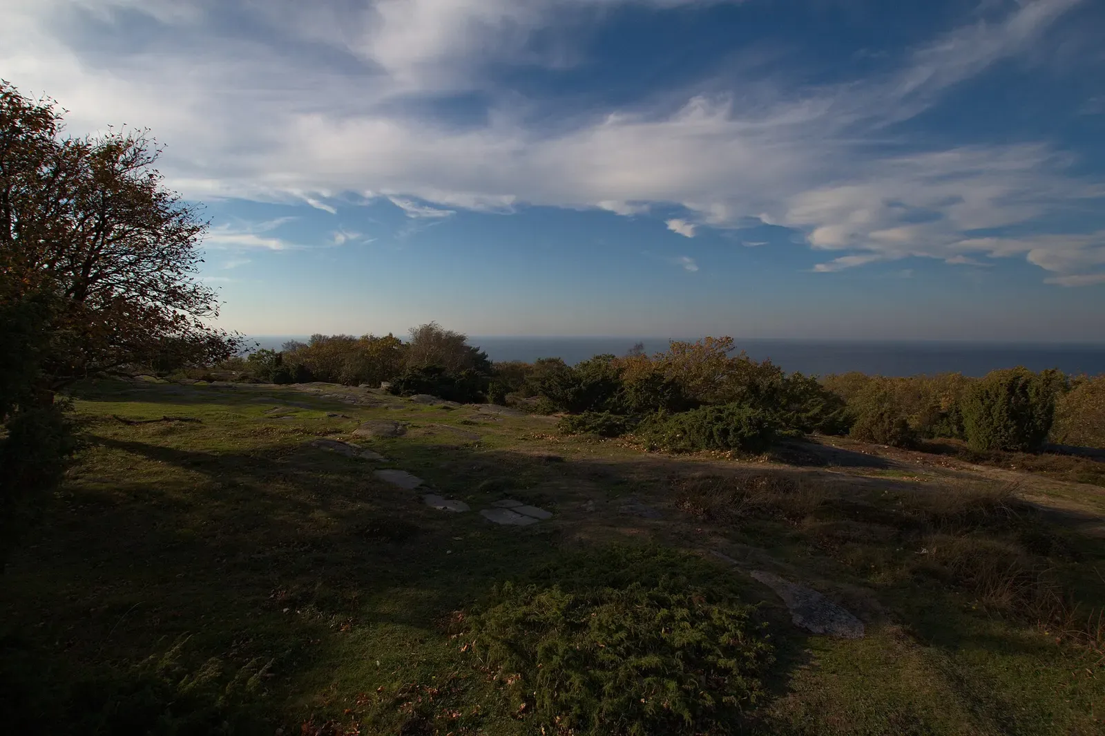 Heath and gorse covering the exposed granite plateau above Hammeren — Bornholm.