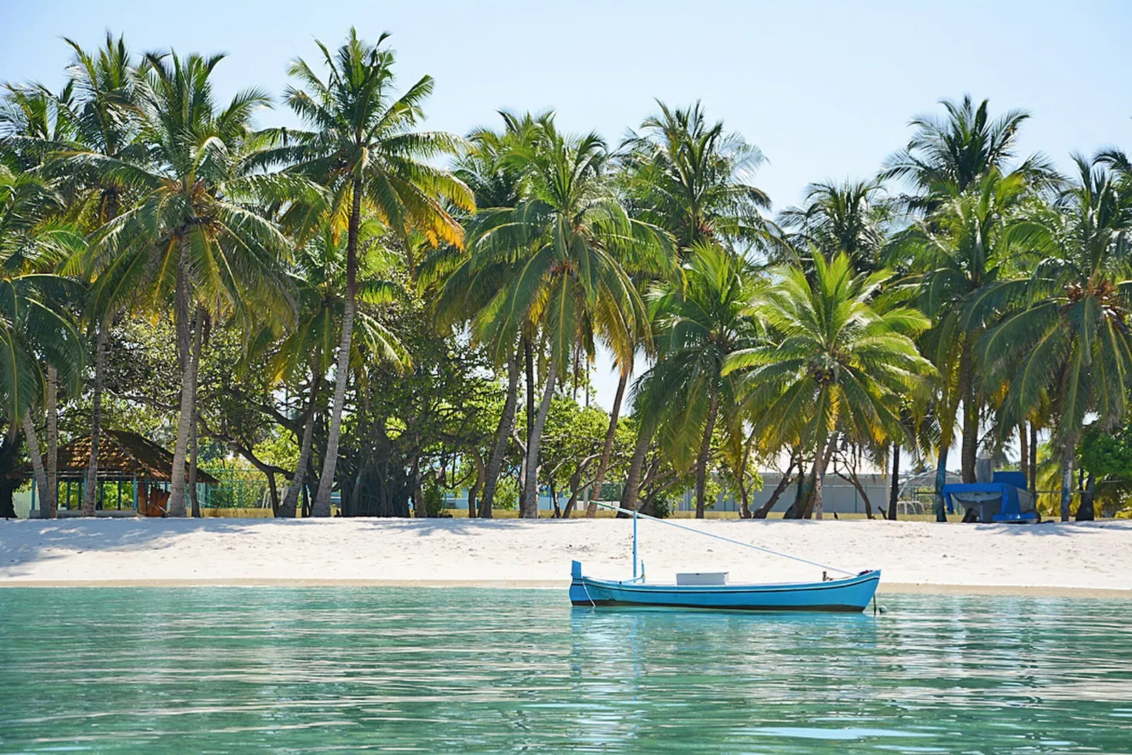 A traditional Maldivian dhoni boat moored in shallow turquoise water off a palm-lined Hanimaadhoo beach.