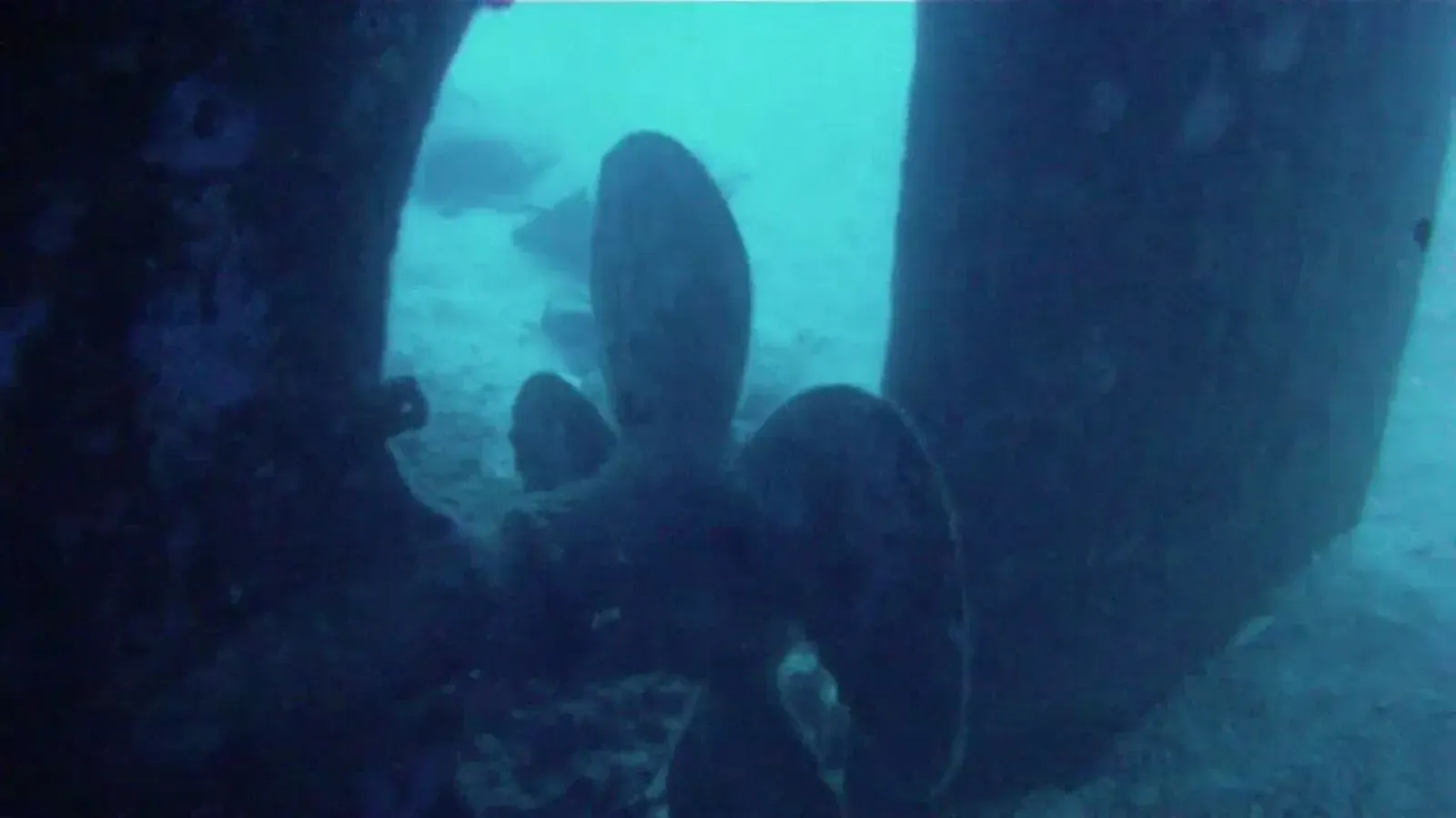 The large bronze propeller of the Um El Faroud tanker resting on the seabed — Gozo & Malta