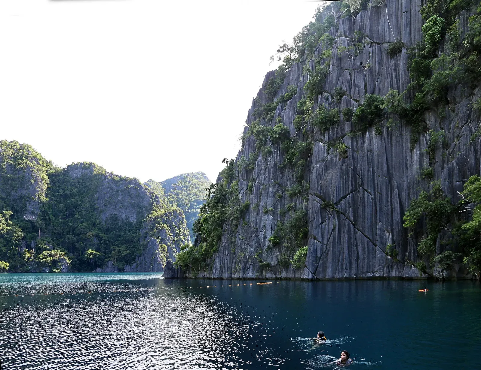 Swimmers dwarfed by the tall limestone cliffs enclosing Barracuda Lake — Coron