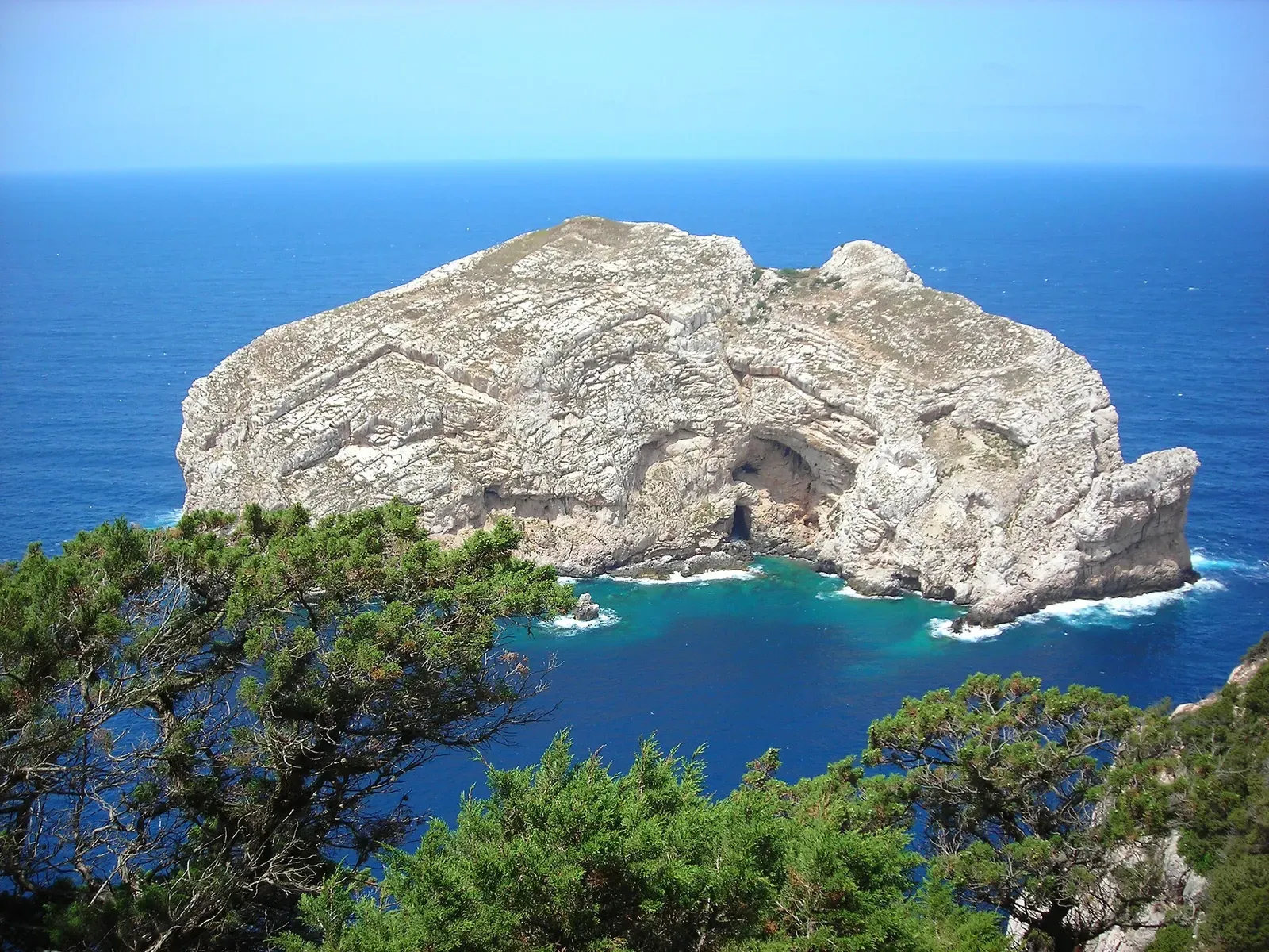 Isola Foradada framed by coastal pine and scrub in the foreground — Capo Caccia