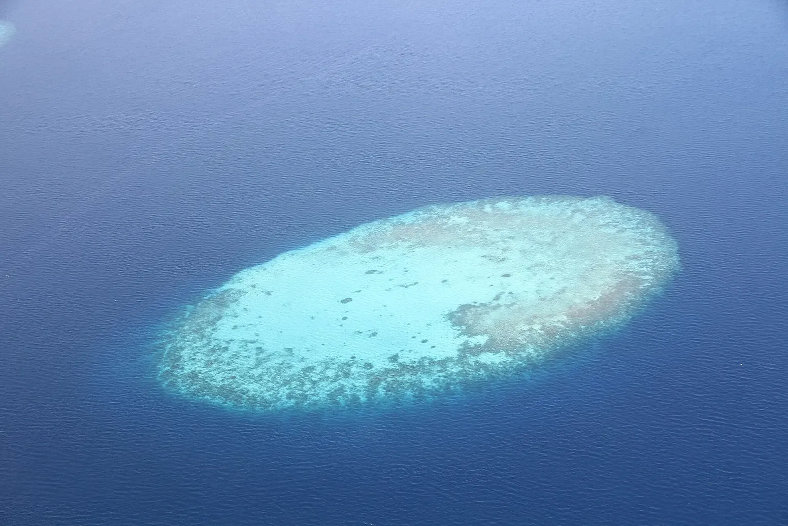 Aerial view of a turquoise ring reef rising from deep blue water