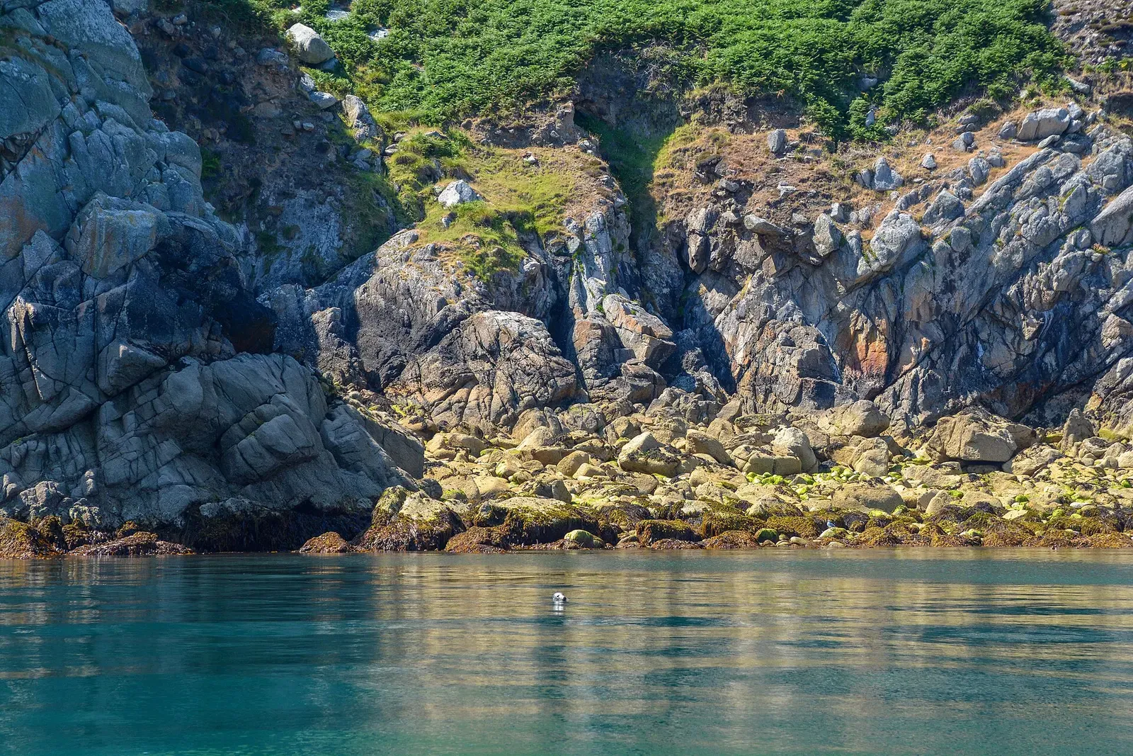 Grassy cliff and rocky shoreline at Gannets Bay, Lundy, with calm turquoise water below — Gannets Rock, Lundy Island