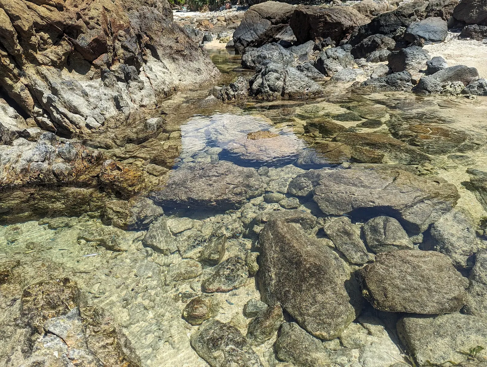 Close-up of a clear tide pool set in weathered reef rock — Manta Scramble, Ishigaki
